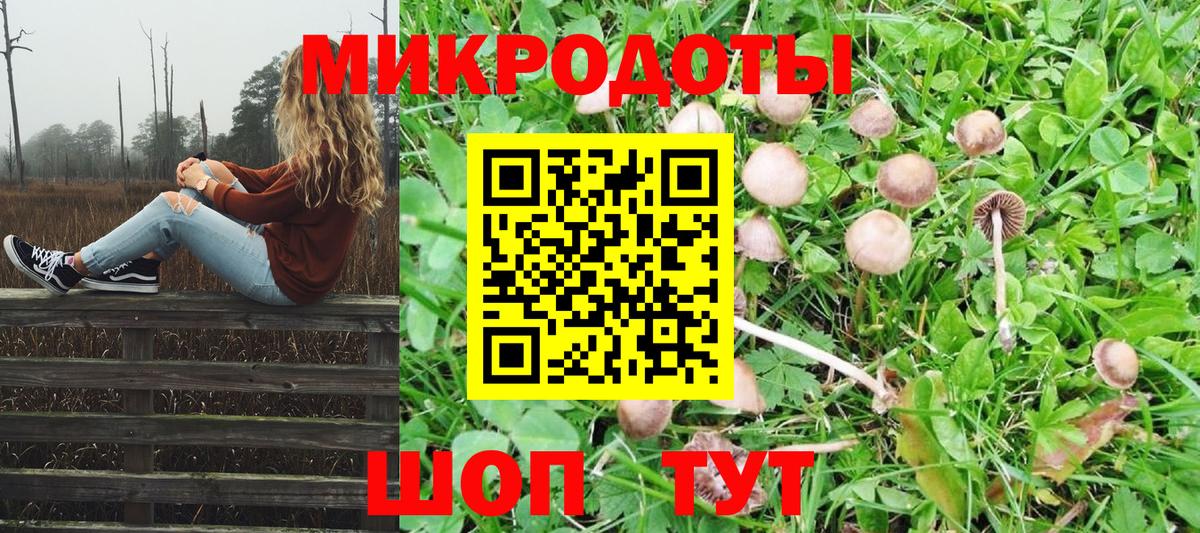 Галлюциногенные грибы MAGIC MUSHROOMS Муравленко